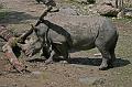 Zoo Schmiding 038